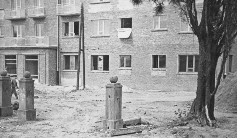 Wok&oacute;ł nich rosło miasto