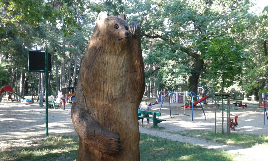 Niedźwiedź w parku