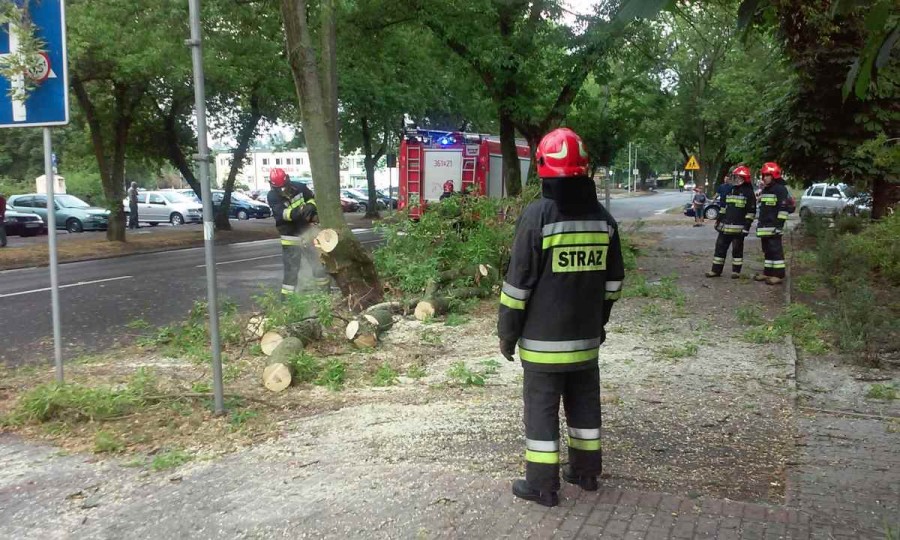 Strażacy obcinali nadłamane gałęzie przy ulicy Wyzwolenia