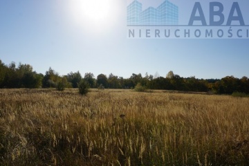 gm. Słupca- działka inwestycyjna/ komercyjna przy DK 92