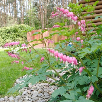 Nawadnianie-Systemy nawadniające-Konin-Koło-Słupca-Ture