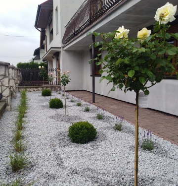 Nawadnianie-Systemy nawadniające-Konin-Koło-Słupca-Ture