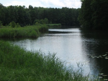 Działki budowlane dobra lokalizacja, atrakcyjna cena