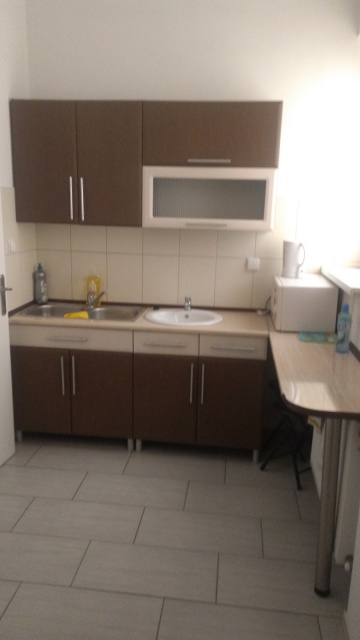 Lokale Użytkowe w Ślesinie