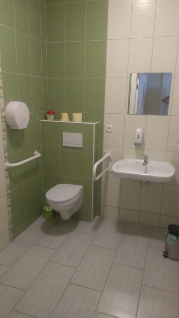 Lokale Użytkowe w Ślesinie