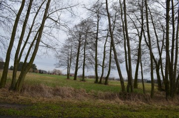 ziemia rolna w Augustynowie gm. Dąbie na sprzedaż!