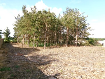 Działka Budowlana &ndash; Gmina Ślesin