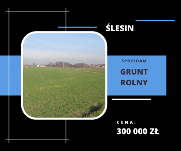Grunt Rolny Gmina Ślesin