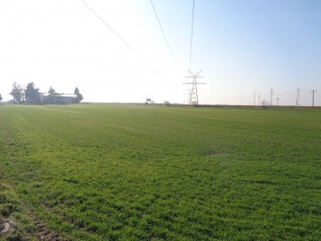 Grunt Rolny Gmina Ślesin