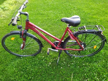 Rower damka Pegasus Solero Alu Light Trek 28