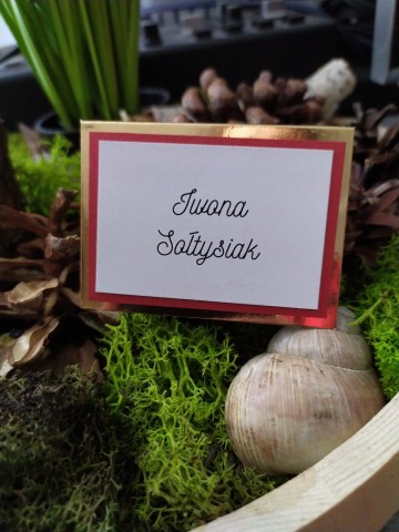 Winietki, wizyt&oacute;wki