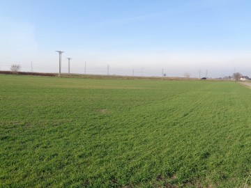 Grunt Rolny Gmina Ślesin