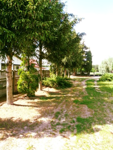 Okolice Ślesina &ndash; Dom Jednorodzinny