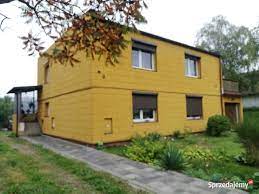 Poszukujemy dom&oacute;w okolice Konina, Słupcy, Ślesina, Kleczewa