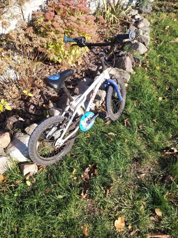 Rower dla dziecka wyczynowy