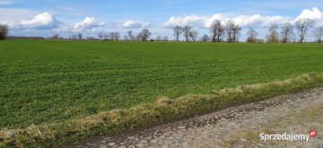 Skulsk - Kupię grunt rolny