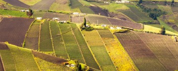 Skulsk - Kupię grunt rolny