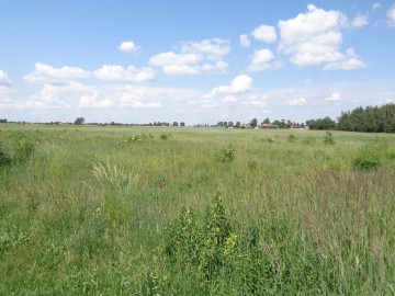 Działki Budowlane – Gmina Kleczew