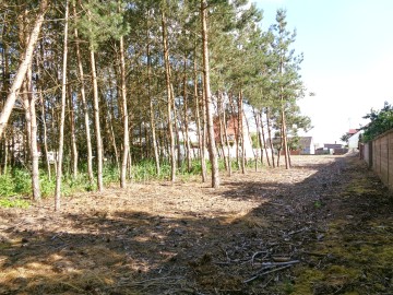 Działka Budowlana &ndash; Gmina Ślesin