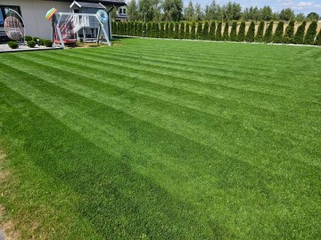 Wertykulacja trawnik&oacute;w - pielęgnacja i nawożenie