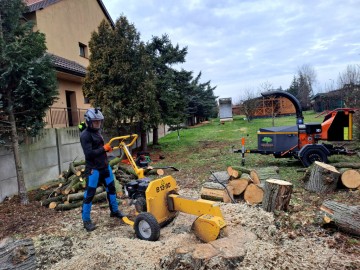 Usuwanie korzeni, usuwanie karp, pni, usługi rębakiem
