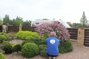 Usługi ogrodnicze - Pielęgnacja ogrod&oacute;w - Opryski - Cięcie