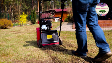 Usługi ogrodnicze - Pielęgnacja ogrod&oacute;w - Opryski - Cięcie
