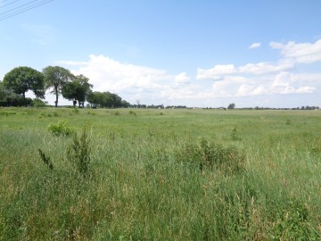 Działki Budowlane &ndash; Gmina Kleczew