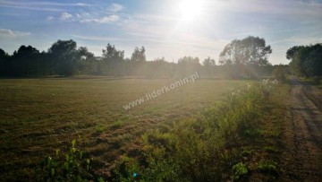 Sprzedam działki w miejscowości Biała Panieńska k. Rychwała