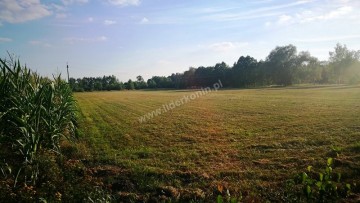 Sprzedam działki w miejscowości Biała Panieńska k. Rychwała