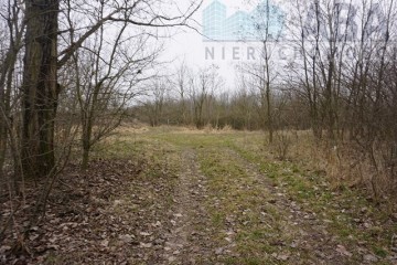 Działka rolno-budowlana w Gosławicach