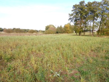 Ślesin &ndash; Sprzedam działkę budowlaną