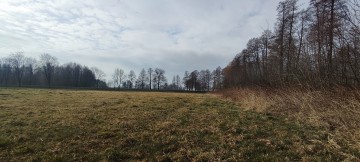 Działka Inwestycyjna – Trasa nr 92