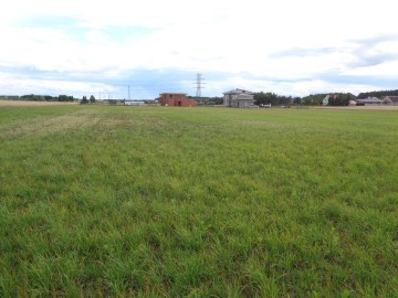 Gmina Ślesin &ndash; Działki Budowlane w pobliżu las&oacute;w