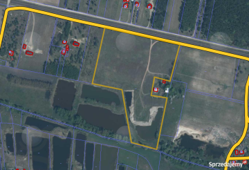 Kolonia Golina - działka rolna o pow. 4,8400 ha