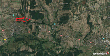 Kolonia Golina - działka rolna o pow. 4,8400 ha
