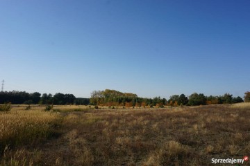 Kolonia Golina - działka rolna o pow. 4,8400 ha