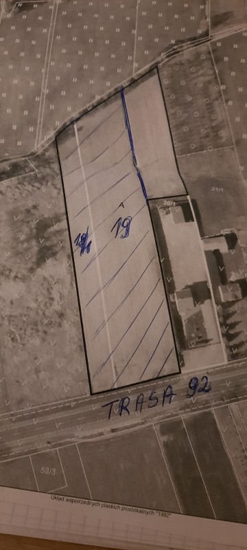 Sprzedam działkę rolno-budowlaną o powierzchni 1 ha -Chojny