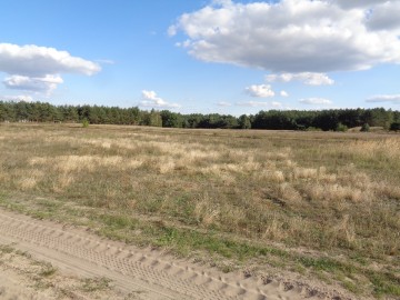 Skulsk – Działki z warunkami zabudowy