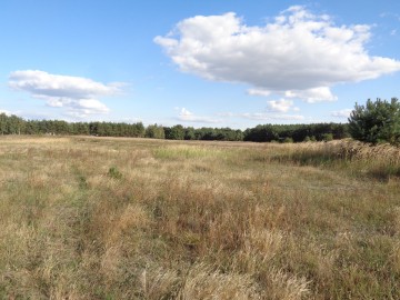 Skulsk &ndash; Działki z warunkami zabudowy