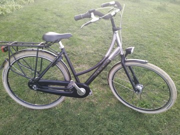 Rower damka Gazelle 66 Degrees 28 Alu Nexus