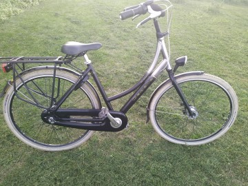 Rower damka Gazelle 66 Degrees 28 Alu Nexus