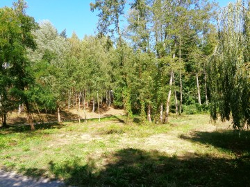 Działki Letniskowe - Jezioro Ślesińskie