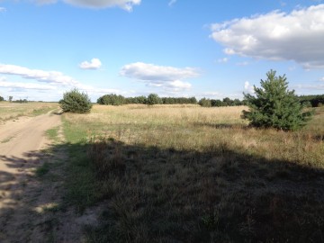 Skulsk &ndash; Działki z warunkami zabudowy