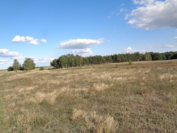 Skulsk &ndash; Działki z warunkami zabudowy