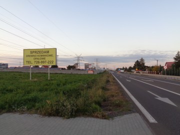 Ślesin/Skulsk/Wygoda &ndash; Bilbordy Reklamowe