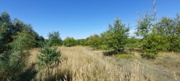 Działki Rosocha-Kolonia gm. Golina !!!