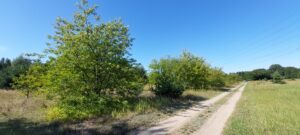 Działki Rosocha-Kolonia gm. Golina !!!