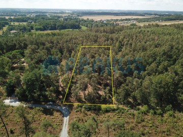 Działka budowlana z lasem - Grabieniec