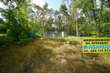 Działka budowlana z lasem - Grabieniec